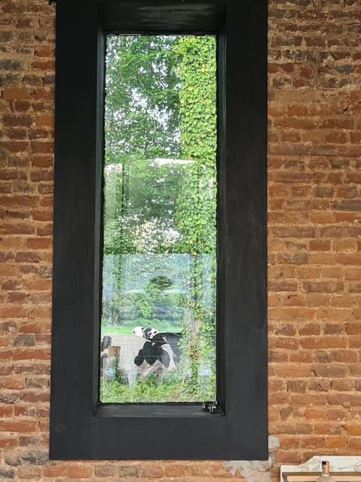 Hébergement de vacances Chateau D'humieres - Casa Clementine *